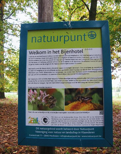 Herfstwandeling op 20-10-2013 (21).JPG